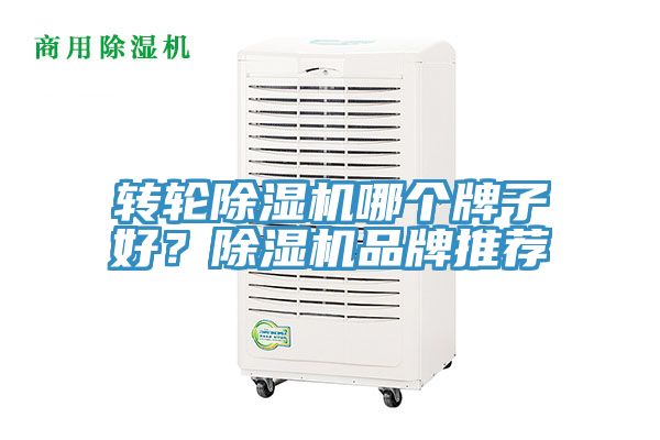 轉輪除濕機哪個牌子好？除濕機品牌推薦