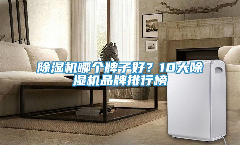 除濕機哪個牌子好？10大除濕機品牌排行榜