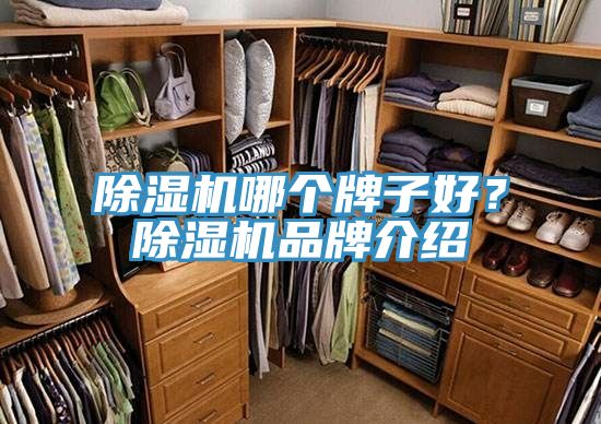 除濕機哪個牌子好？除濕機品牌介紹