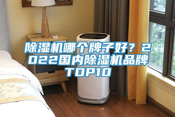 除濕機哪個牌子好？2022國內除濕機品牌TOP10