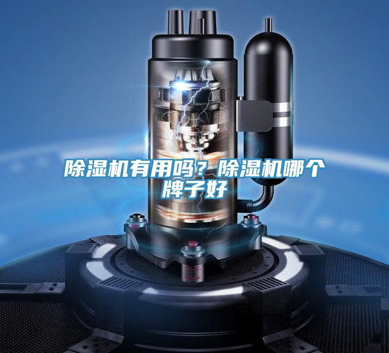 除濕機有用嗎?除濕機哪個牌子好