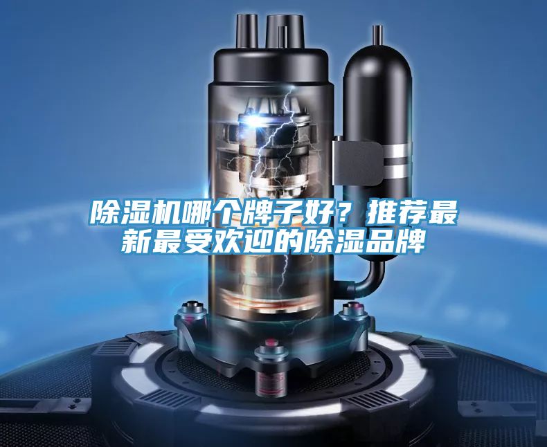 除濕機哪個牌子好？推薦最新最受歡迎的除濕品牌