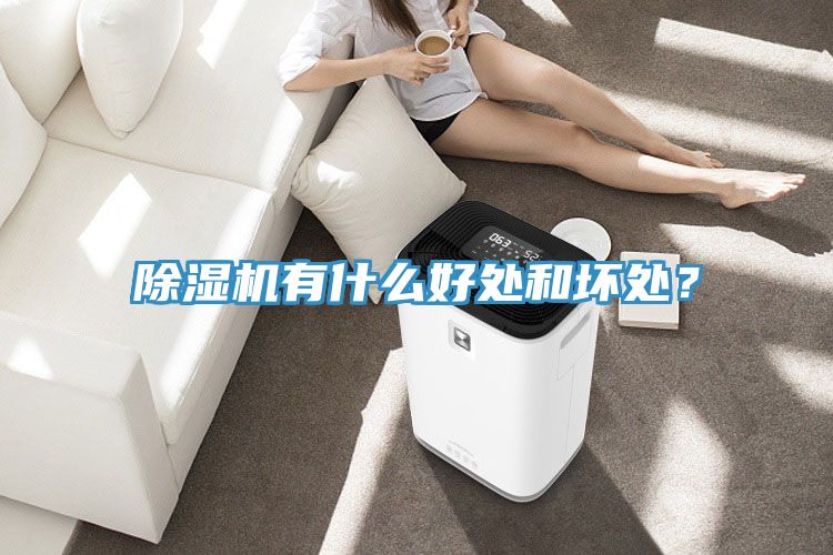 除濕機有什么好處和壞處?