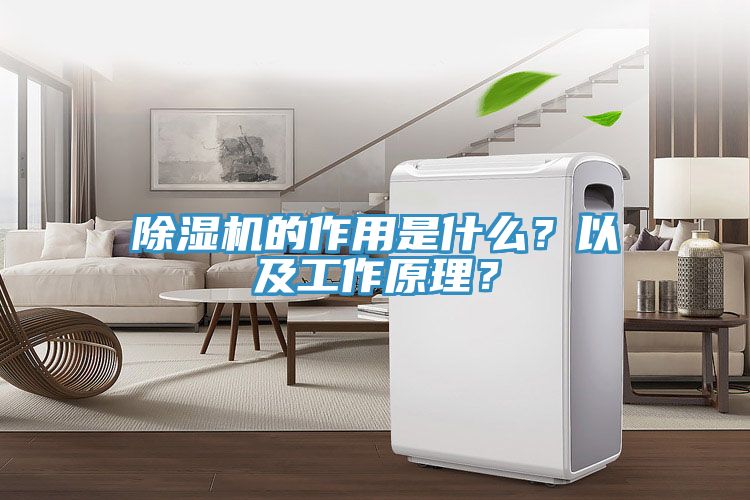 除濕機的作用是什么？以及工作原理？