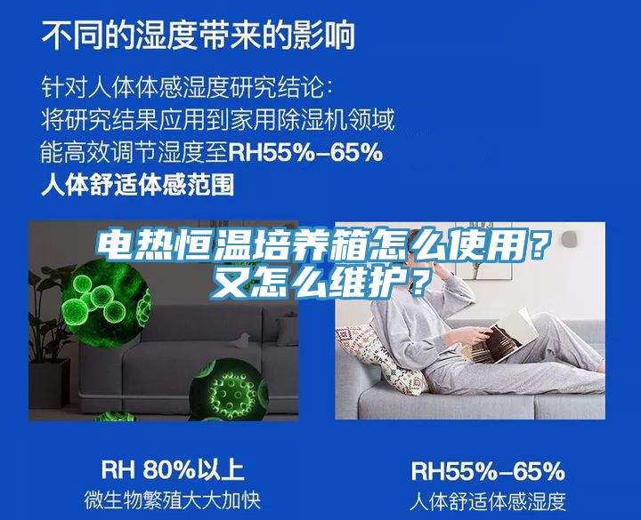 電熱恒溫培養箱怎么使用?又怎么維護?