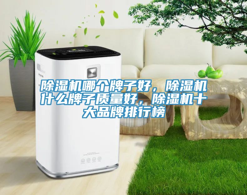 除濕機哪個牌子好，除濕機什么牌子質量好，除濕機十大品牌排行榜