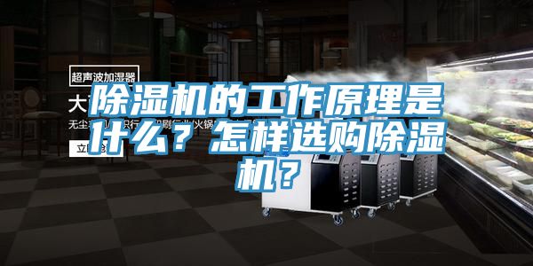 除濕機的工作原理是什么?怎樣選購除濕機?