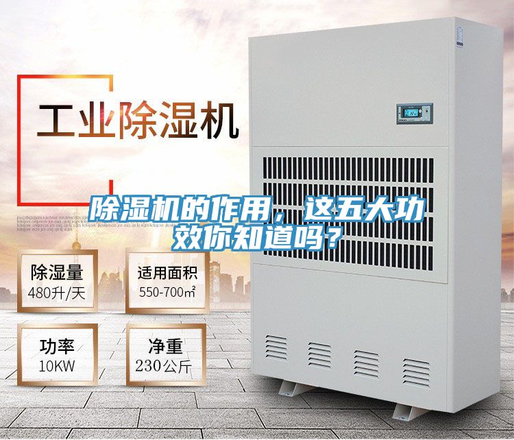 除濕機的作用，這五大功效你知道嗎？